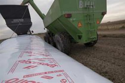 Persisten las diferencias por el manipuleo de los silobolsas