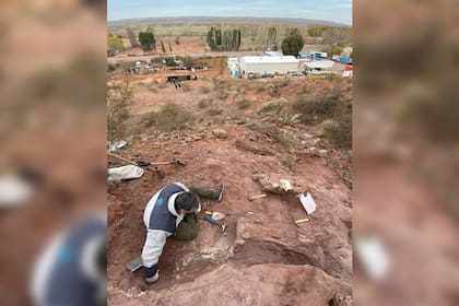 Personal calificado se hizo presente en el lugar para realizar su trabajo (Foto Instagram @prensa_unco)