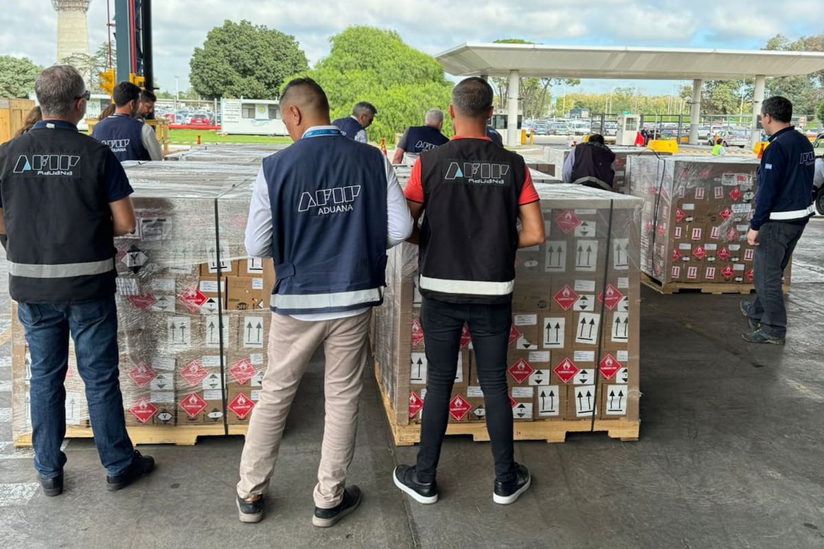 Personal de la AFIP inspecciona un cargamento de repelentes que llegó desde México