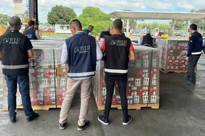 Personal de la AFIP inspecciona un cargamento de repelentes que llegó desde México