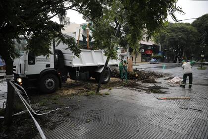 Personal de la ciudad de Buenos Aires trabajaba esta mañana en la avenida Álvarez Thomas