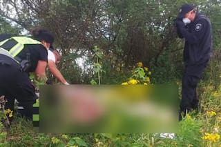 Un trabajador rural murió ahogado mientras rescataba vacas de una zona de campos inundados