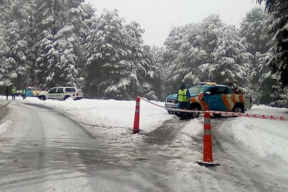 Personal y equipos viales se encuentran realizando tareas de despeje sobre más de 360 km de la RN 40