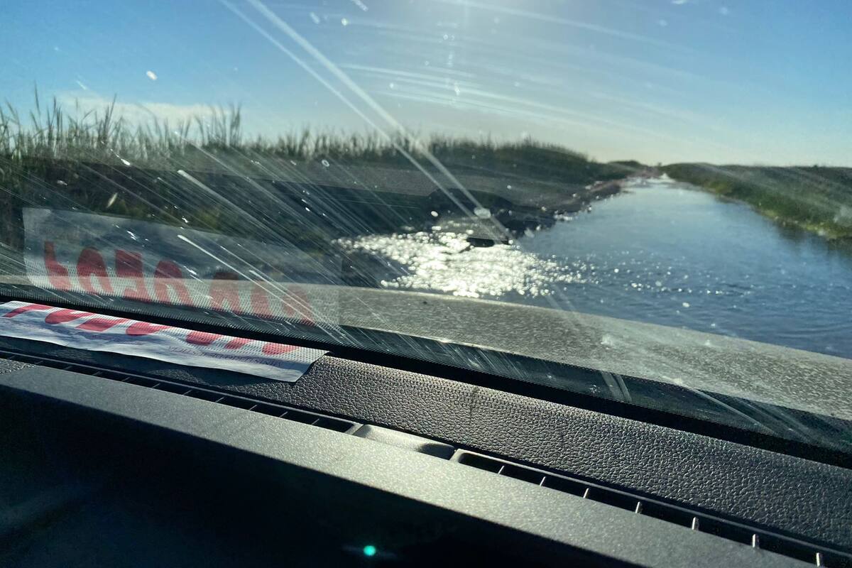 Perspectiva de un camino rural hoy, en la provincia de Buenos Aires