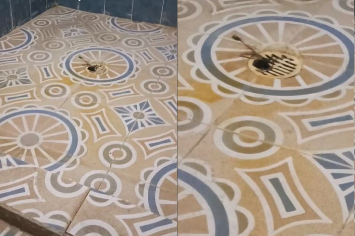 Pesadilla en la casa: escuchó ruidos en el baño y lo que vio la dejó sin aliento