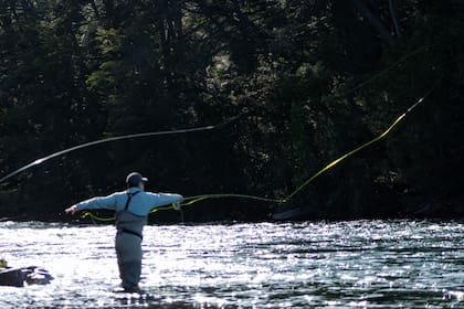 La desembocadura del río Correntoso, en Villa La Angostura, es uno de los sitios de pesca preferidos por las piezas que se obtienen