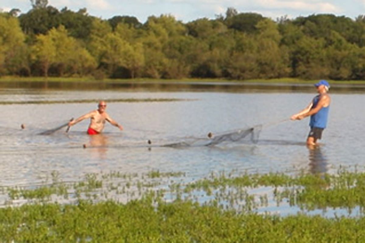 Pesca en el río