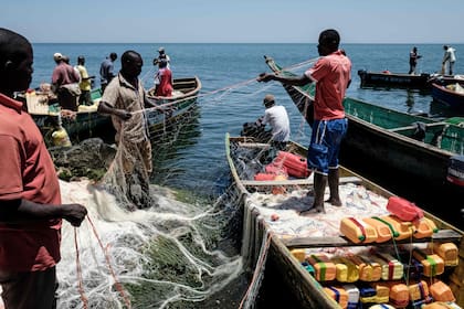 Pescadores preparan sus redes en la isla de Migingo