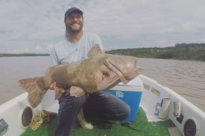 Pescaron en enorme ejemplar de manguruyú en el Paraná - Fuente: Facebook