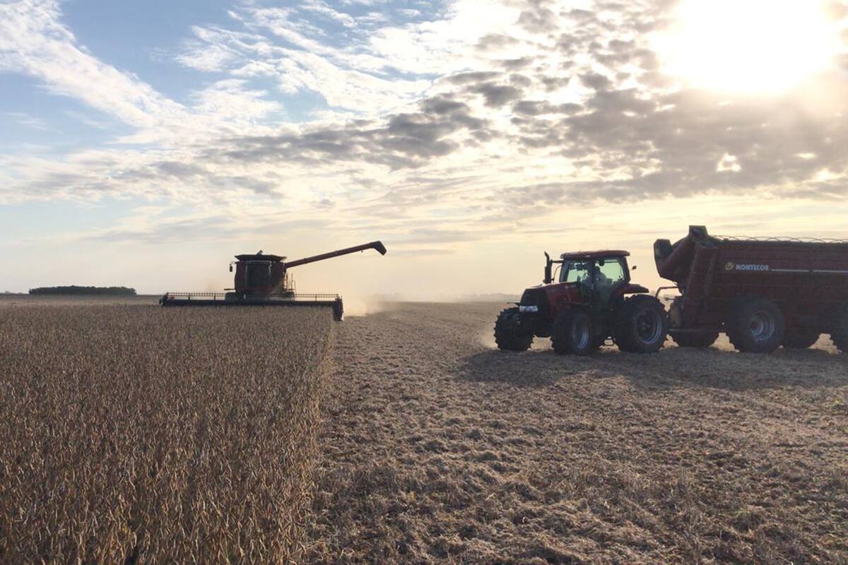 Pese a la falta de agua, hay zonas del sudeste cordobés con buenos rindes