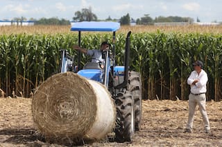 Agronegocios: qué dicen los inversores sobre la Argentina