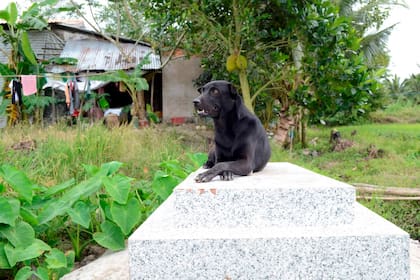 Pese al numeroso intentos de la familia de Khet, Milo no se separa de la tumba