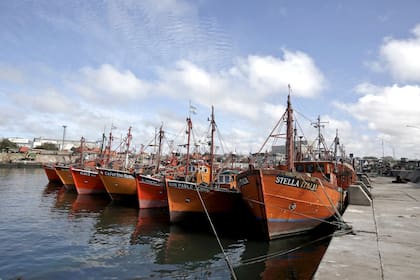Los emblemáticos barcos fresqueros marplatenses, en riesgo de dejar de trabajar en la zona