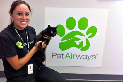 Pet Airways