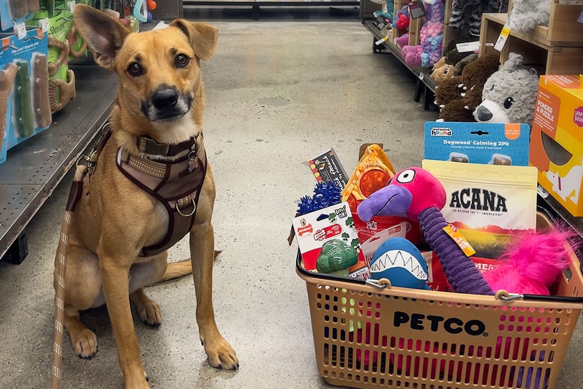 Petco atraviesa una crisis y decide cerrar 25 sucursales distribuidas en el país (Instagram/@petco)