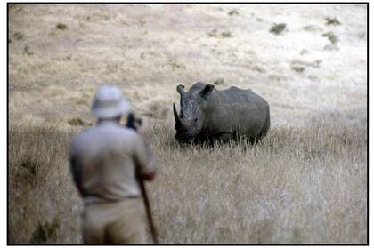 Peter Beard en África, donde hizo las fotos que lo consagrarían