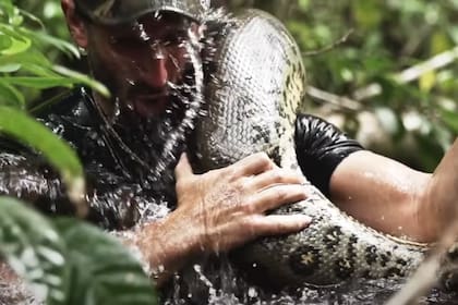 Peter Rosalie se iba a dejar comer por una anaconda, pero el animal lo dejó vivir