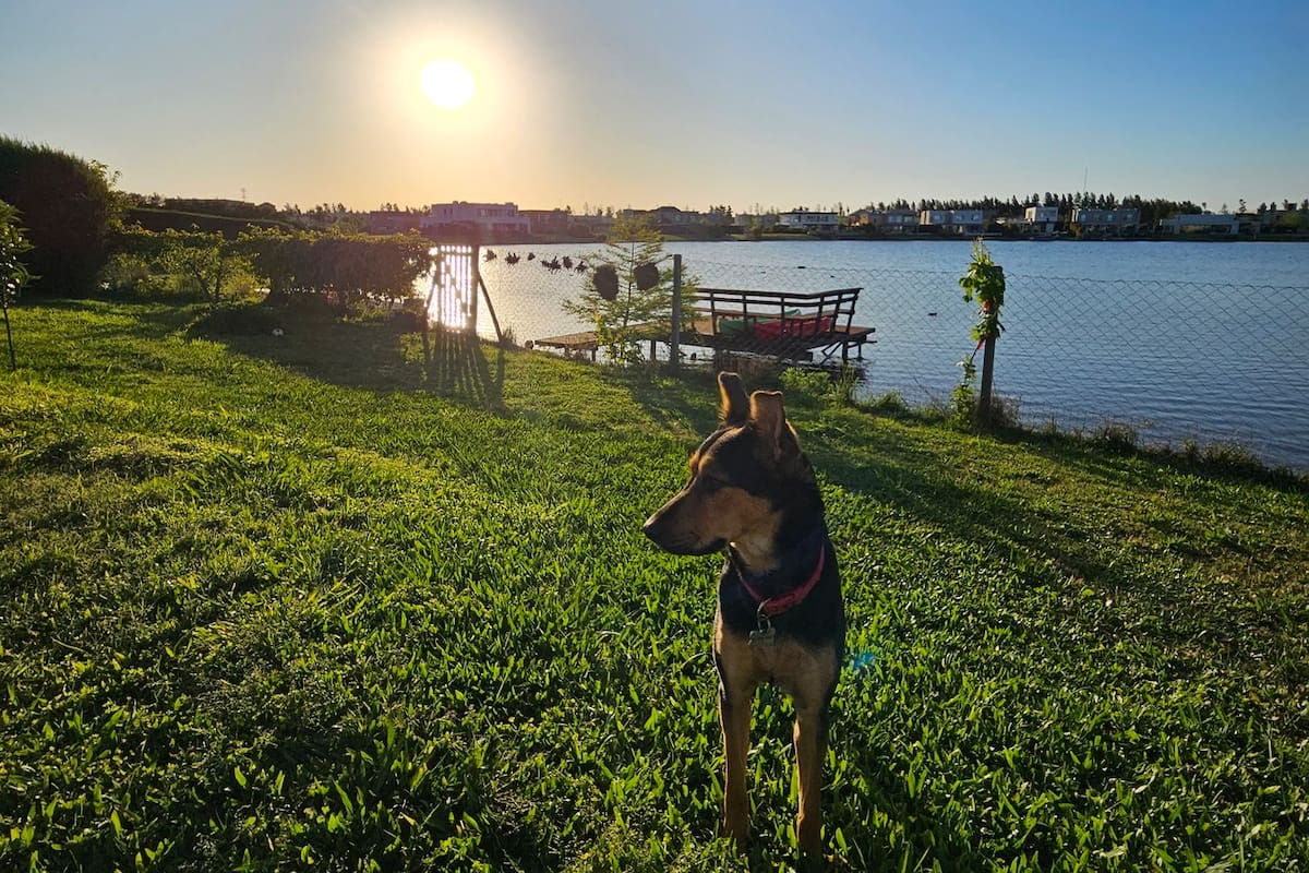 Petra; atrás, el perímetro y el muelle debajo del cual viven los coipos