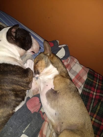 Petra y Martín.