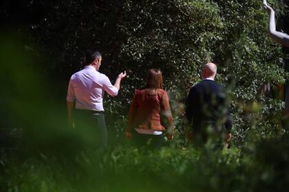 Petri, Bullrich y Larreta, antes del anuncio en el Jardín Botánico