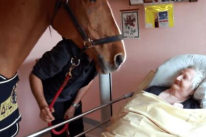 Peyo tiene una sensibilidad especial y elige él mismo a qué enfermos quiere visitar