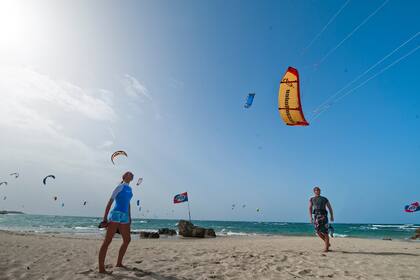 (Photo: Business Wire)