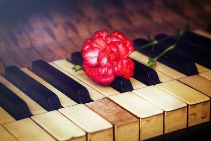 La flor roja sobre el piano, cada vez que a Don Osvaldo no lo dejaba tocar por sus ideas políticas