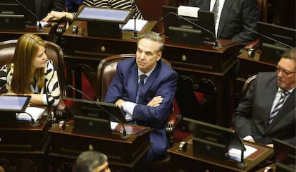 Miguel Pichetto durante sus tiempos de senador