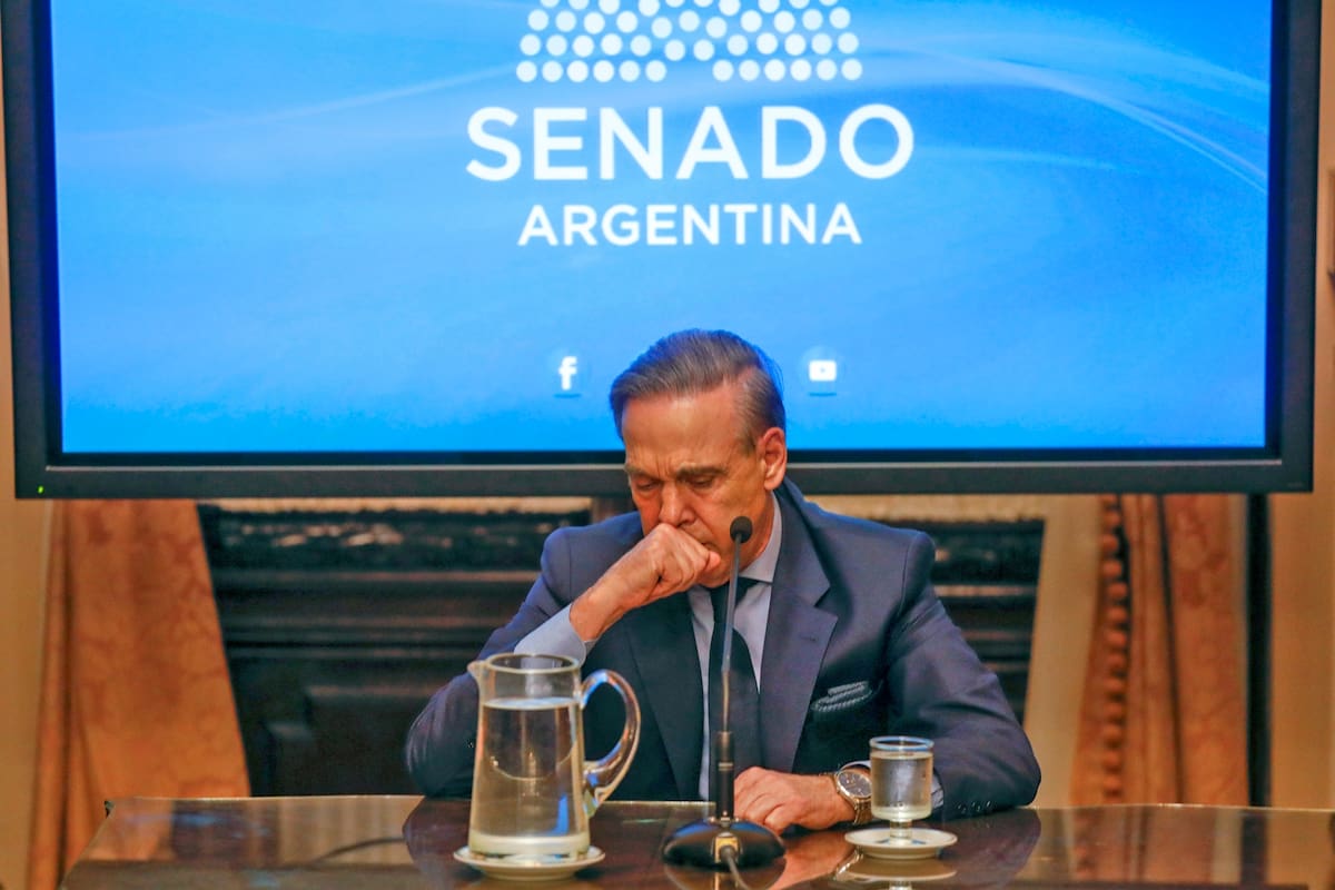 Pichetto durante la conferencia en el Senado de la Nación
