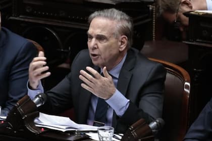 Pichetto presentará un proyecto de ley en el Congreso para cobrar un arancel del 30% a los productos chinos