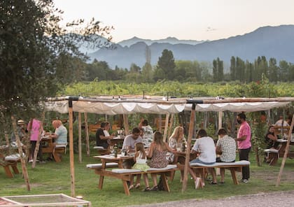 Picnic y atardecer en el viñedo de Kaiken Wines.