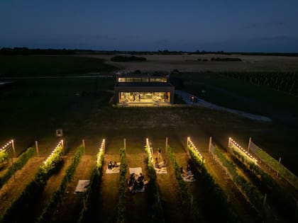 Picnics en los viñedos, al atardecer