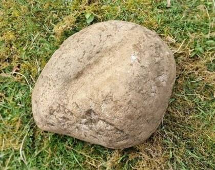 Piedra con forma de vulva para indicar la tumba de una mujer con poder