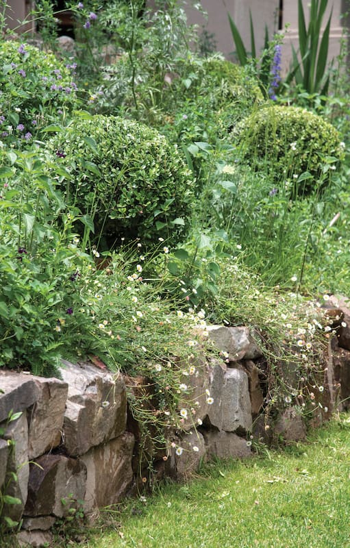 Piedra en el jardín.