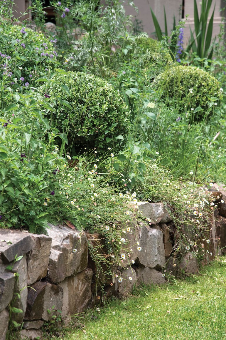 Piedra en el jardín.