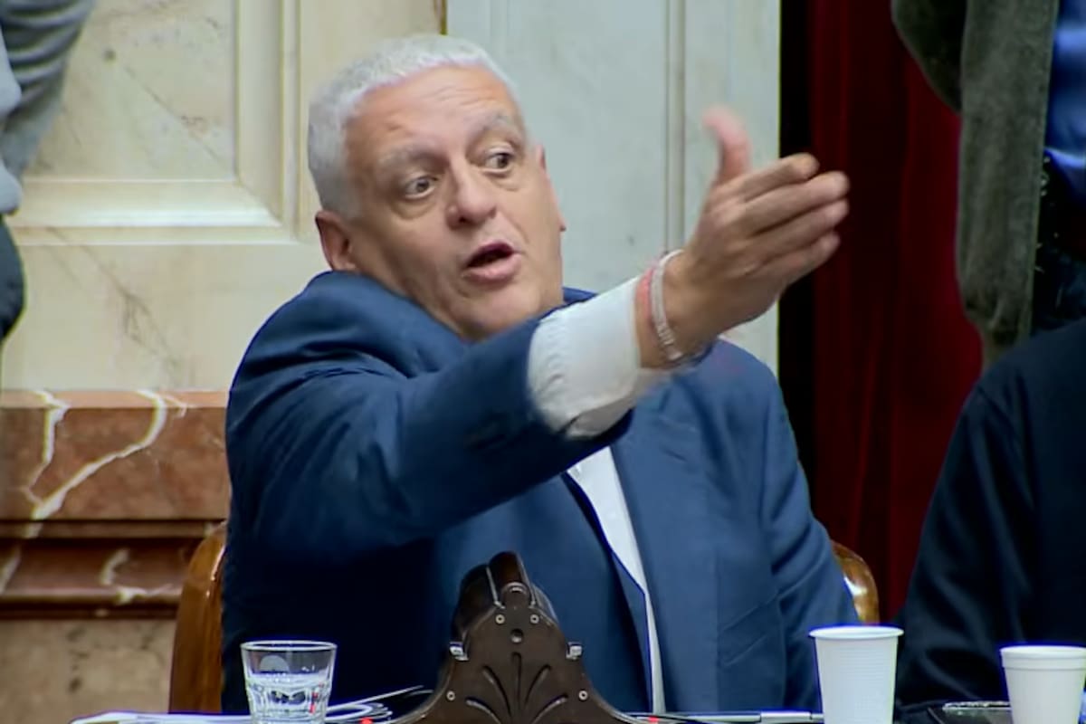 Pietragalla dijo que le mostraron una imagen de Videla y el bloque libertario acusó un intento de levantar la sesión
