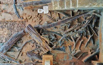 Piezas de ébano desenterradas en el yacimiento