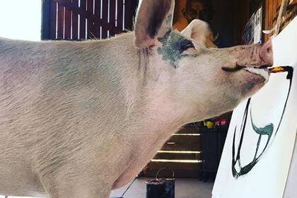 Pigcasso es la nueva estrella de la pintura y vende sus cuadros por mil euros; las ganancias son destinadas a financiar el refugio en donde vive