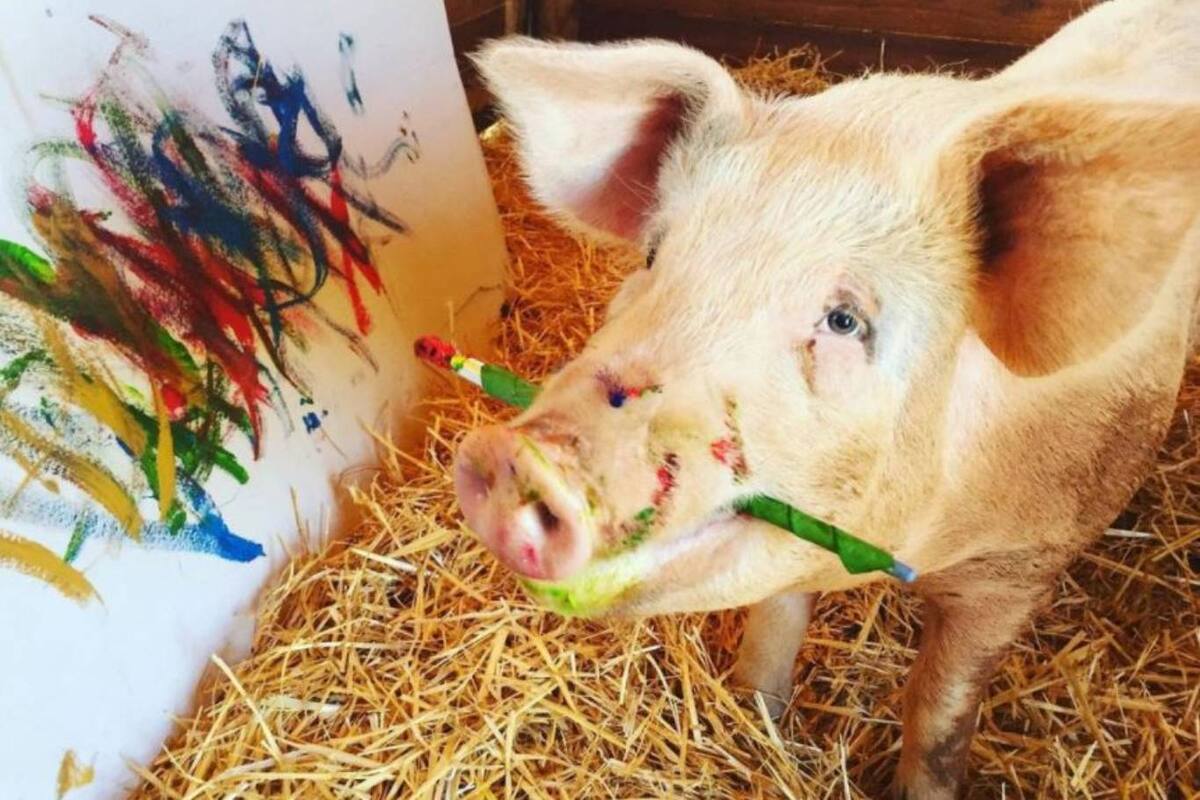 Pigcasso pinta con trazo enérgico y su última obra fue un retrato de príncipe Harry de Inglaterra que adquirió un coleccionista español