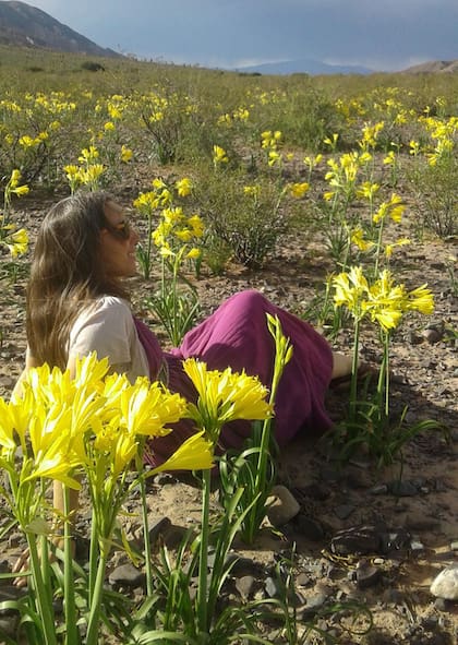 Pilar entre amancays, una flor endémica del PN Los Cardones, muy próximo a Payogasta.