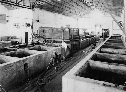 Piletones de cemento en Bodega Robinson.