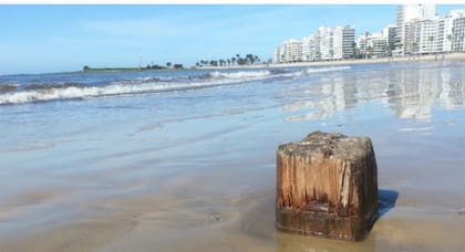 Pilotes del antiguo hotel pocitos que se ven hoy cuando baja la marea