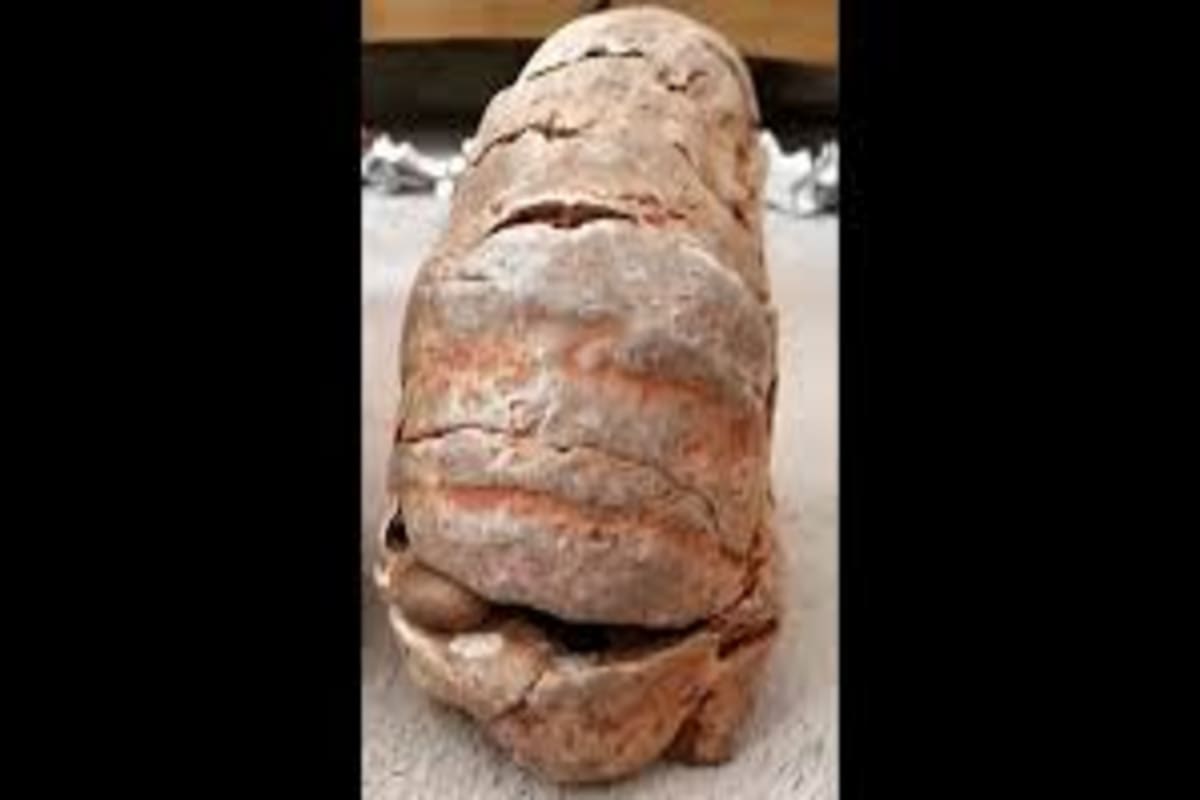 Pincharon el supuesto fósil con un alfiler para ver si era vómito de ballena, pero el objeto explotó de inmediato y casi provoca una tragedia