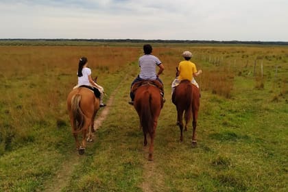 Pineda eligió un camino diferente rodeado de verde y naturaleza en Santo Tomé, que tiene 25.000 habitantes.