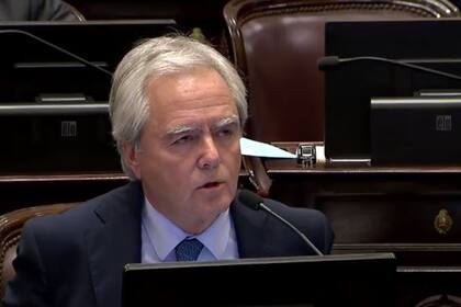 Pinedo dijo que el Senado la aprobaría y giraría a Diputados "antes de fin de mes"