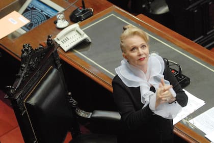 Pinky dedicó años de su madurez a la tarea legislativa
