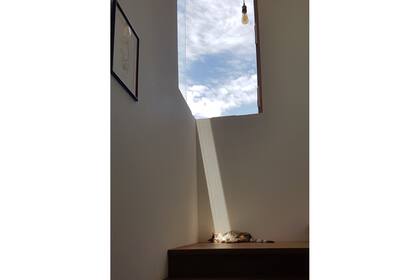 Pinky ya no está, pero el haz de luz pasa por el mismo lugar, de la misma forma, cada mediodía de mediados de diciembre