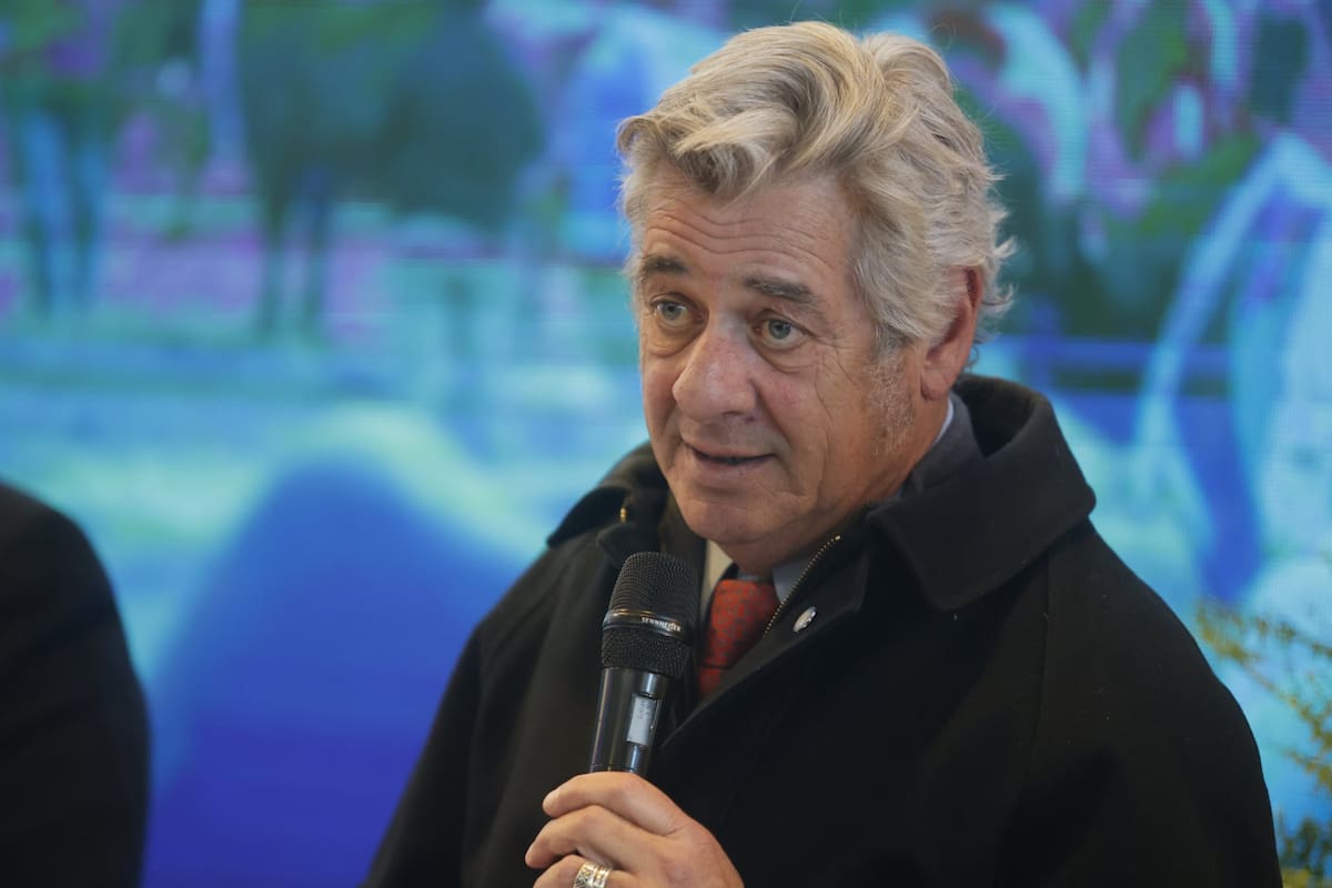 Pino destacó el rumbo económico, aunque pidió acelerar la eliminación de los DEX, las inversiones en infraestructura y financiamiento