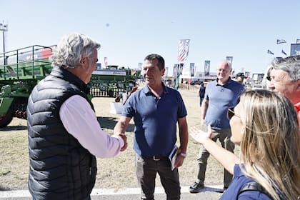 Pino en Expoagro