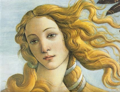 Pintura de Afrodita, también llamada Venus, diosa de la belleza y el amor (Galería Uffizi, Florencia, Italia)